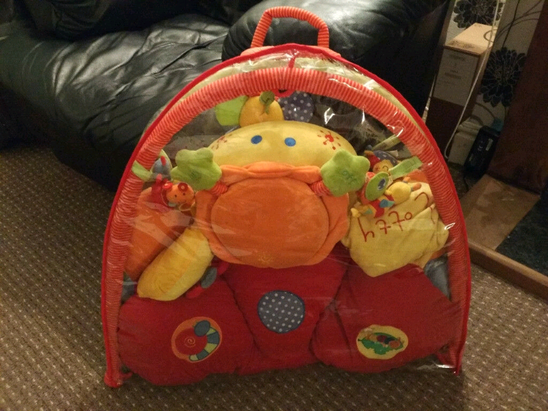 mamas and papas lotty ladybird playmat